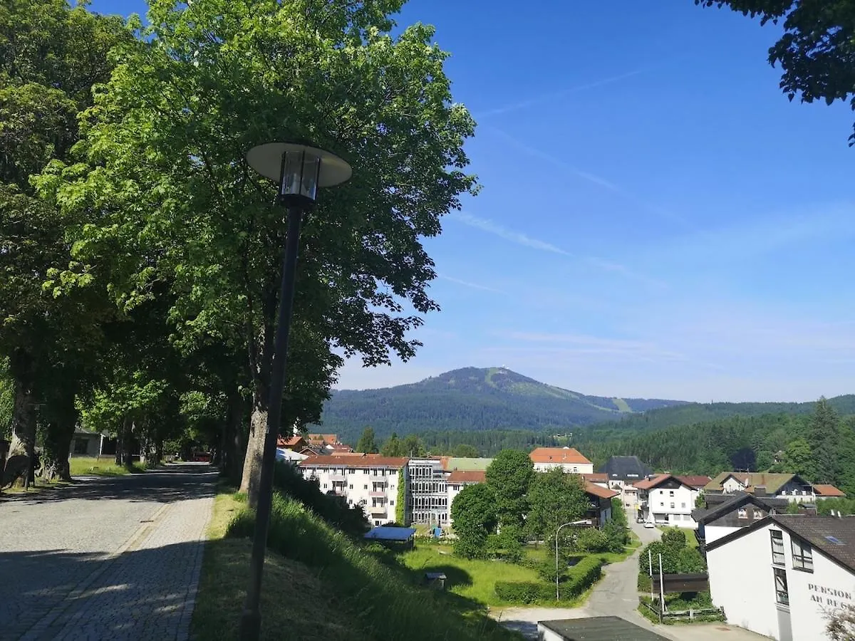 Arberresidenz Place Bayerisch Eisenstein Germany